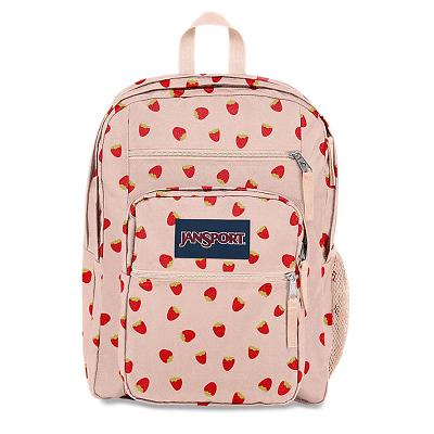 Mochila Para Laptop JanSport BIG STUDENT Rosas | EC_JS362