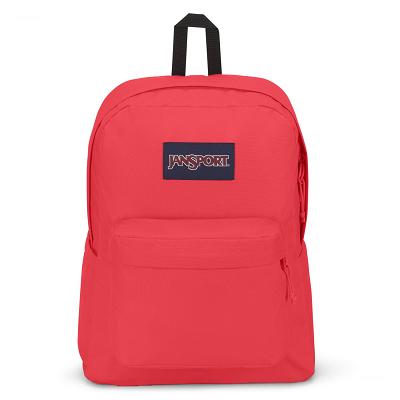 Mochila Para Laptop JanSport SuperBreak® Plus Rosas | EC_JS459