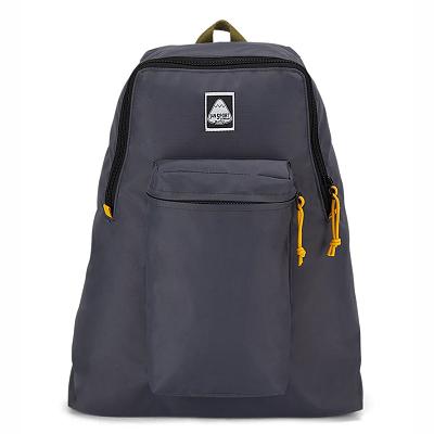 Mochilas Escolares JanSport SKI N HIKE Gris | EC_JS087