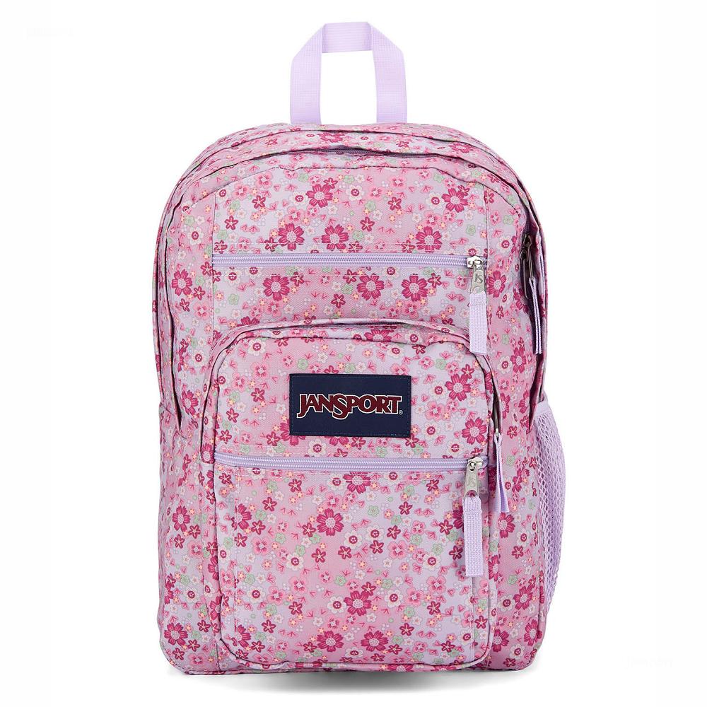 Mochila Para Laptop JanSport BIG STUDENT Rosas | EC_JS586