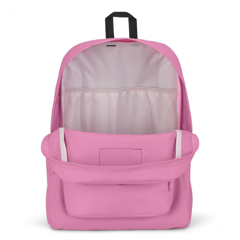 Mochila Para Laptop JanSport SuperBreak® Plus Rosas | EC_JS417