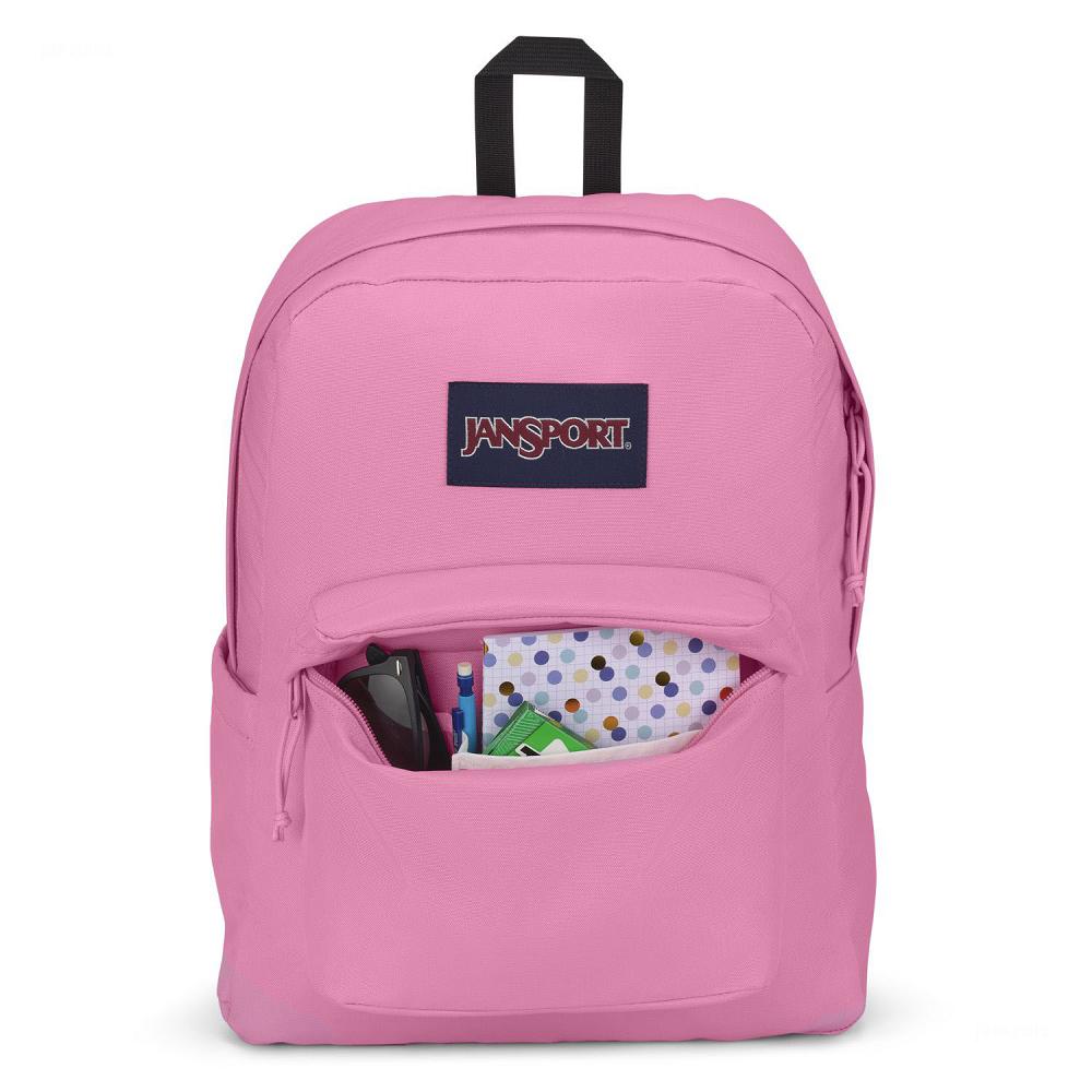 Mochila Para Laptop JanSport SuperBreak® Plus Rosas | EC_JS417