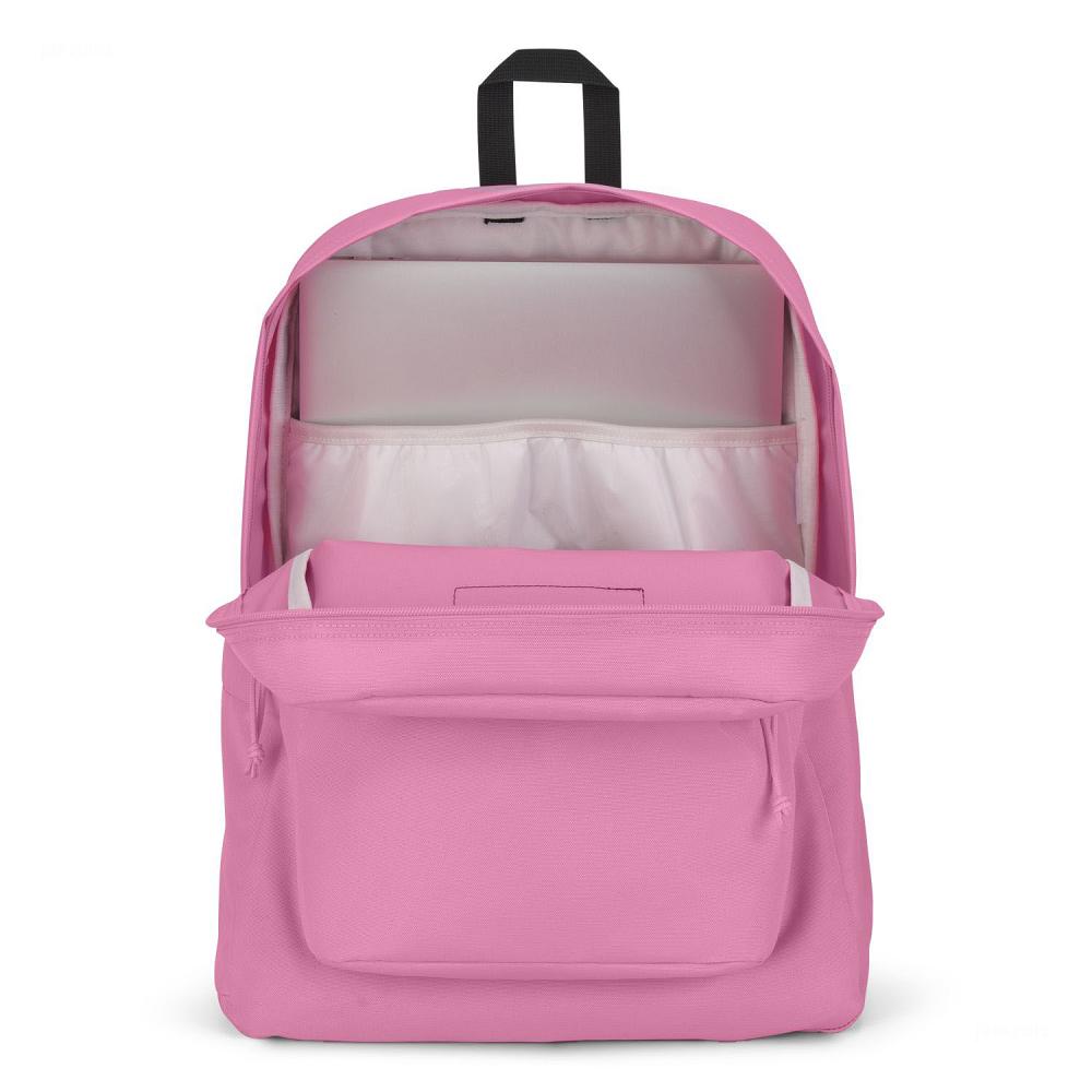 Mochila Para Laptop JanSport SuperBreak® Plus Rosas | EC_JS417