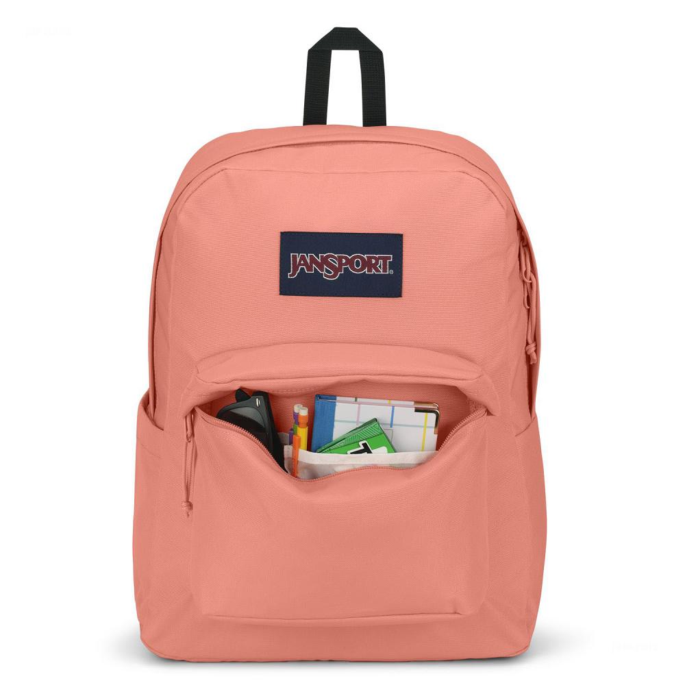 Mochila Para Laptop JanSport SuperBreak® Plus Rosas | EC_JS481