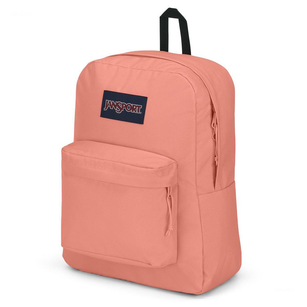 Mochila Para Laptop JanSport SuperBreak® Plus Rosas | EC_JS481