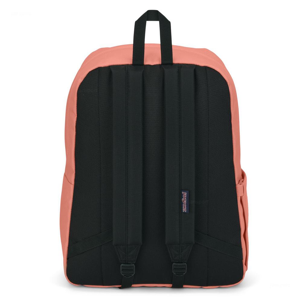 Mochila Para Laptop JanSport SuperBreak® Plus Rosas | EC_JS481