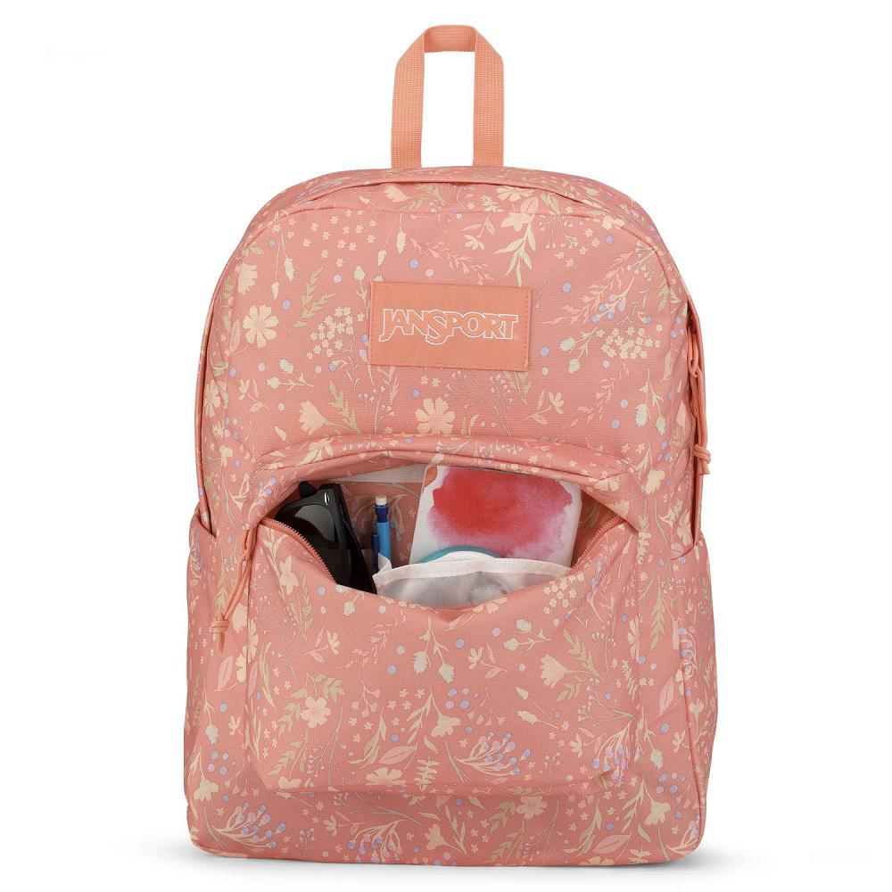 Mochila Para Laptop JanSport SuperBreak® Plus Rosas | EC_JS490