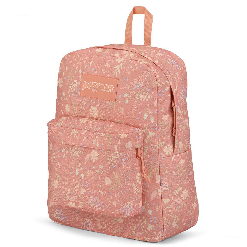 Mochila Para Laptop JanSport SuperBreak® Plus Rosas | EC_JS490