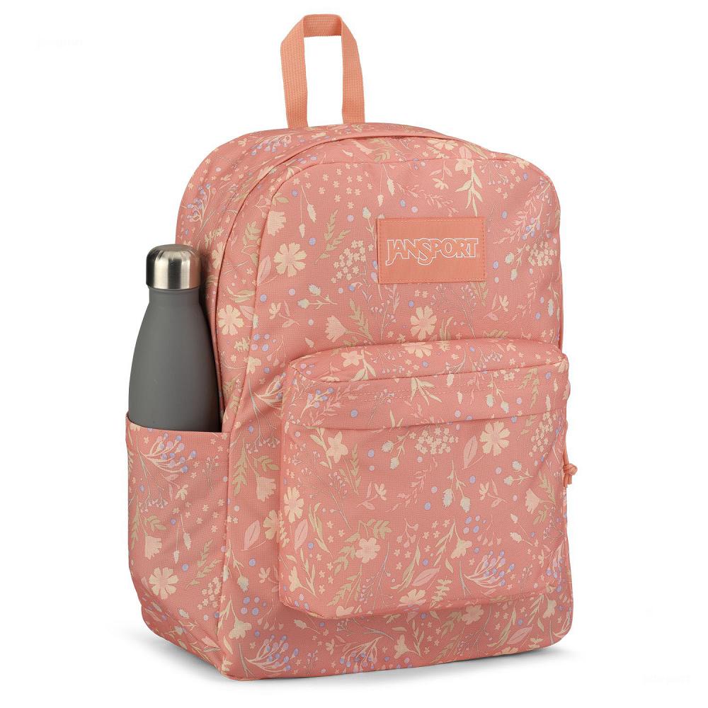 Mochila Para Laptop JanSport SuperBreak® Plus Rosas | EC_JS490