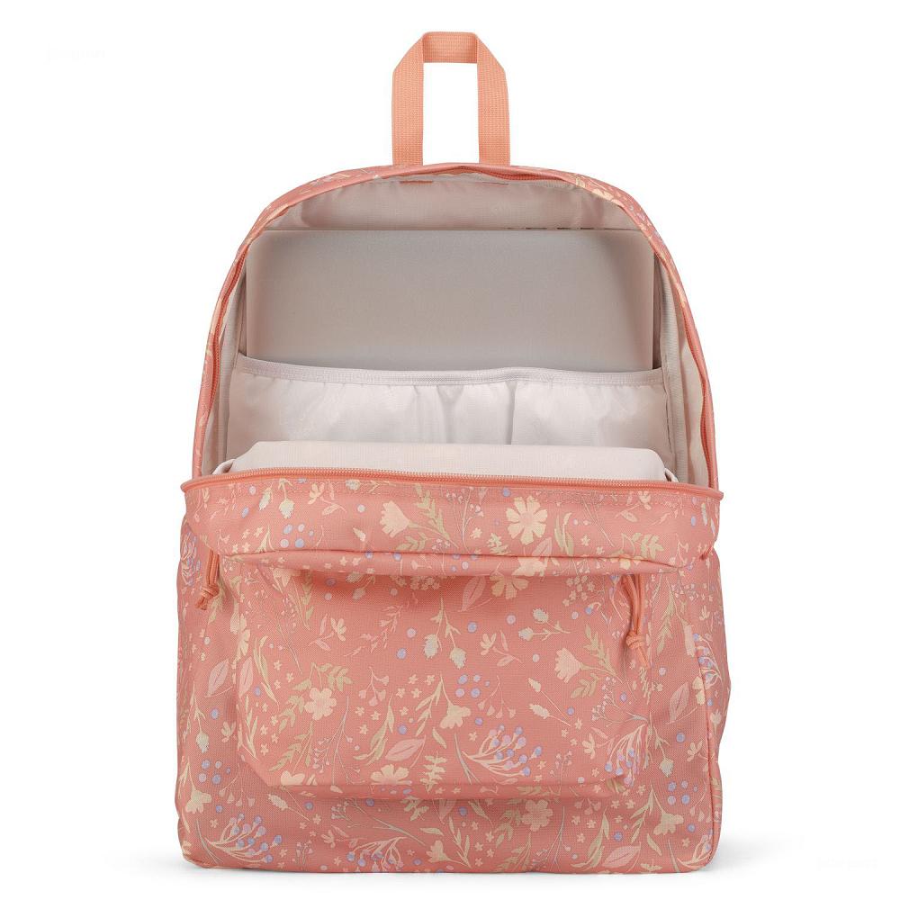 Mochila Para Laptop JanSport SuperBreak® Plus Rosas | EC_JS490