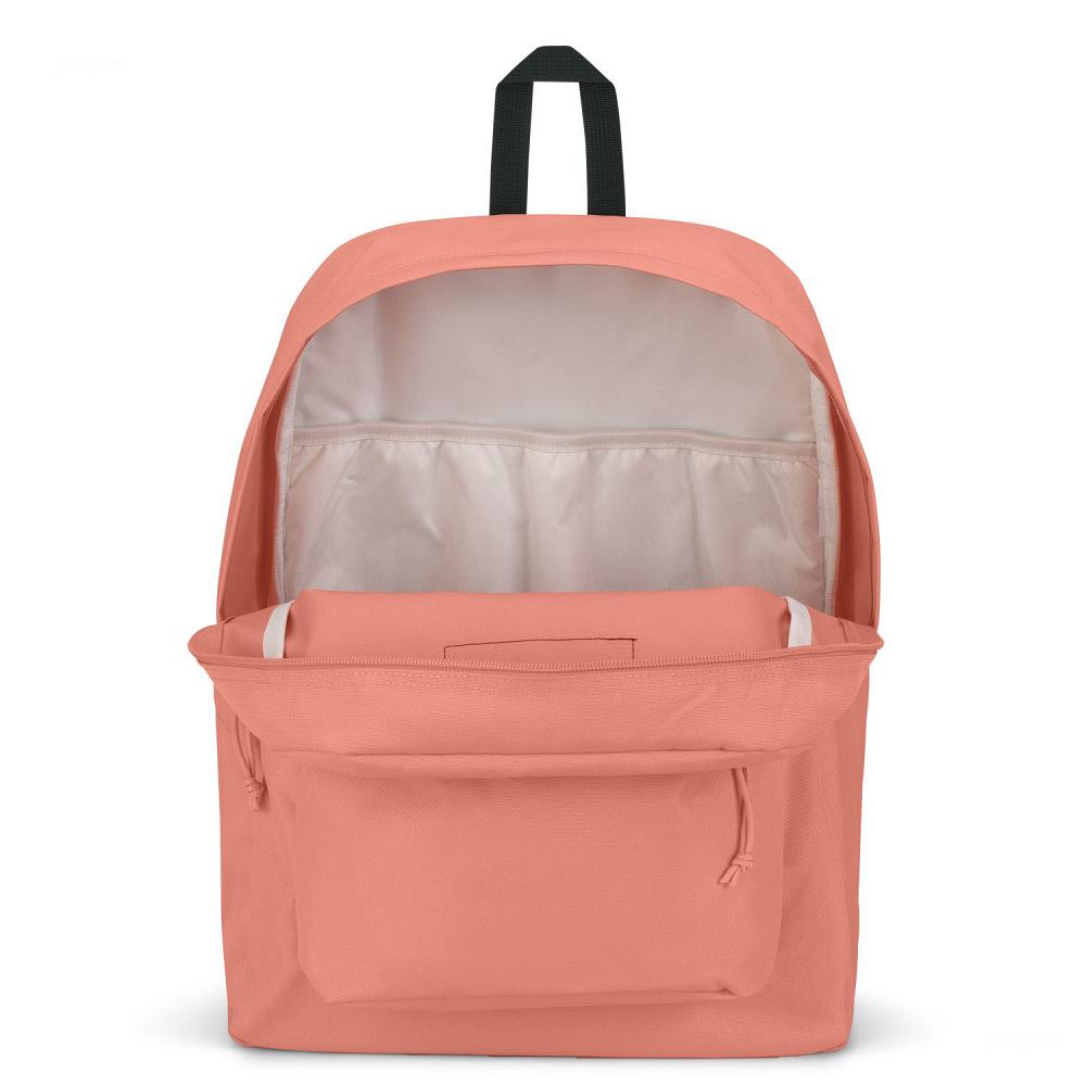 Mochilas Escolares JanSport SuperBreak® Plus Rosas | EC_JS152