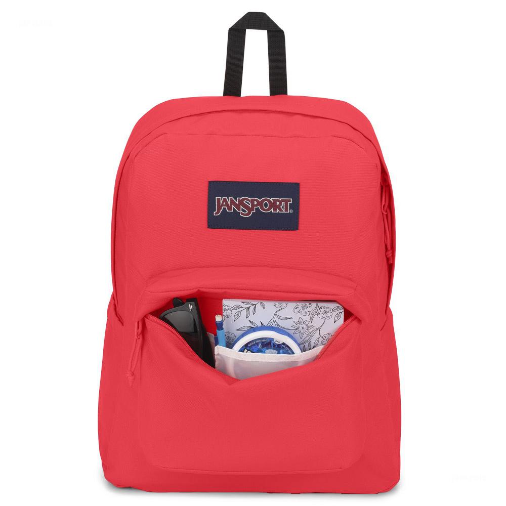 Mochilas Escolares JanSport SuperBreak® Plus Rosas | EC_JS365