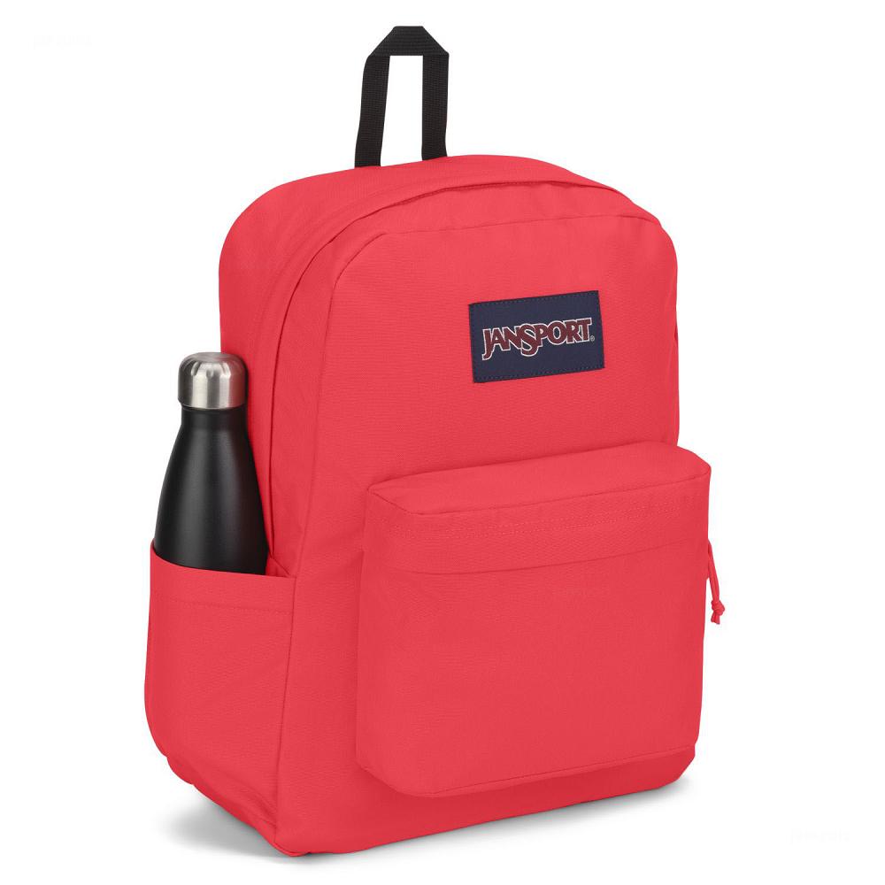 Mochilas Escolares JanSport SuperBreak® Plus Rosas | EC_JS365