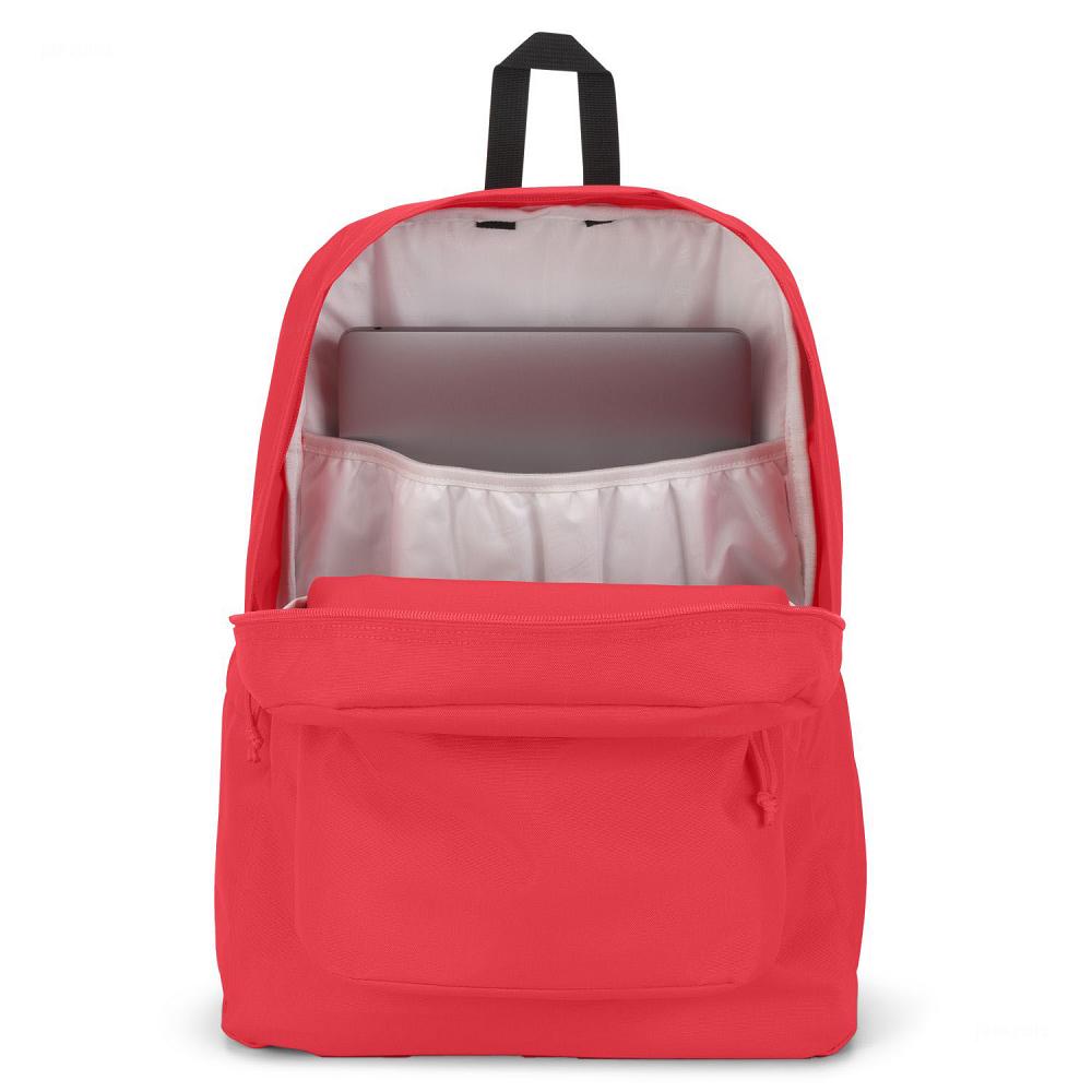 Mochilas Escolares JanSport SuperBreak® Plus Rosas | EC_JS365